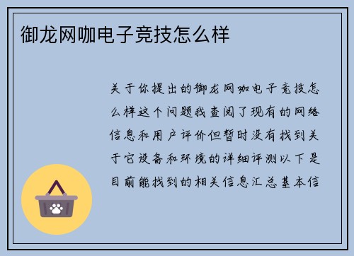 御龙网咖电子竞技怎么样